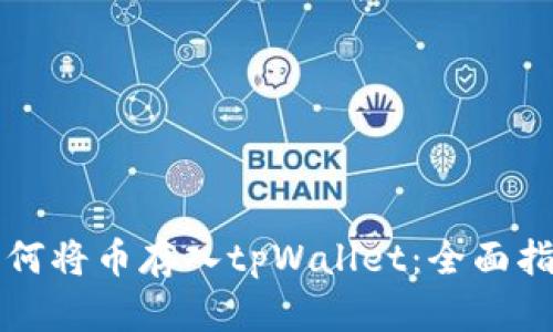 如何将币存入tpWallet：全面指南