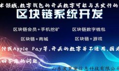 数字钱包开头的数字通常取决于特定的数字钱包
