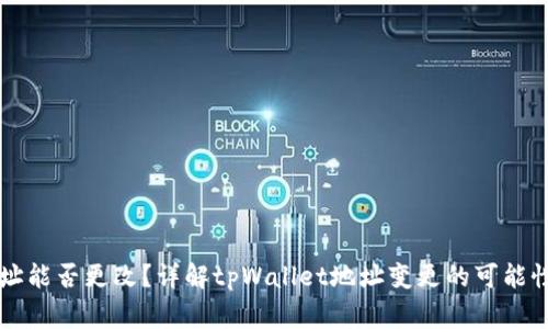 tpWallet地址能否更改？详解tpWallet地址变更的可能性与注意事项