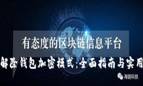 如何解除钱包加密模式：全面指南与实用技巧