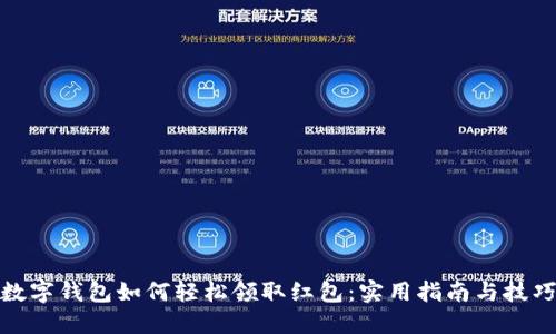 数字钱包如何轻松领取红包：实用指南与技巧