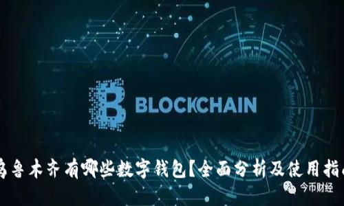 乌鲁木齐有哪些数字钱包？全面分析及使用指南