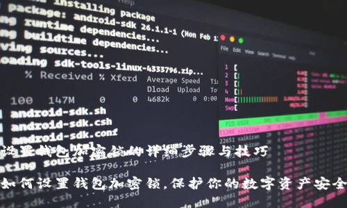 设置钱包加密锁的详细步骤与技巧

如何设置钱包加密锁，保护你的数字资产安全