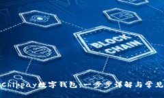 如何注册Chippay数字钱包：一步步详解与常见问题