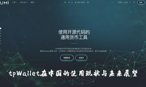 tpWallet在中国的使用现状与未来展望