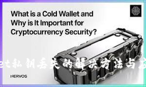 tpWallet私钥丢失的解决方法与应对策略