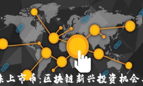 
tpWallet未上市币：区块链新兴投资机会与风险分析