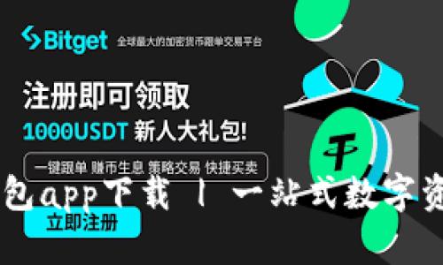  DSE数字钱包app下载 | 一站式数字资产管理工具