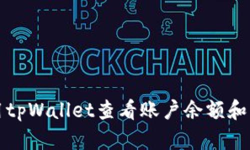 如何使用tpWallet查看账户余额和交易记录