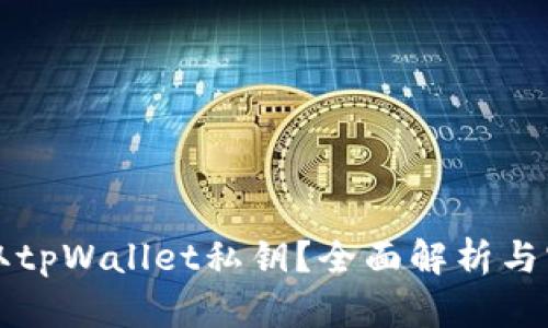 如何获取tpWallet私钥？全面解析与实用指南