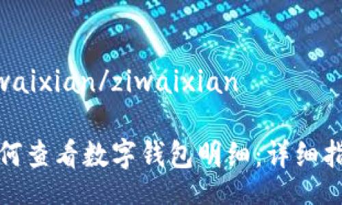 ziwaixian/ziwaixian

如何查看数字钱包明细：详细指南
