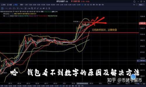  哈啰钱包看不到数字的原因及解决方法